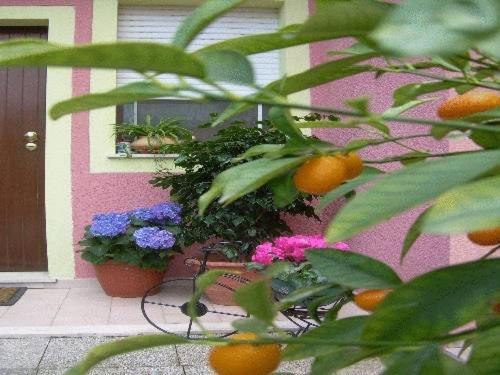 Ariedo Bed And Breakfast Capoterra Exterior photo